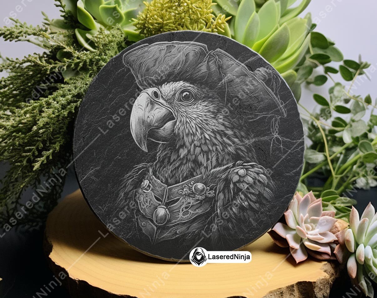 Pirate Parrot Designs in Black and White Digital Bird Character Art for ...