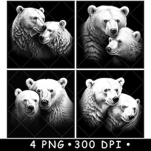 May include: Four black and white images of polar bears cuddling. Each image shows a different pose of the bears.