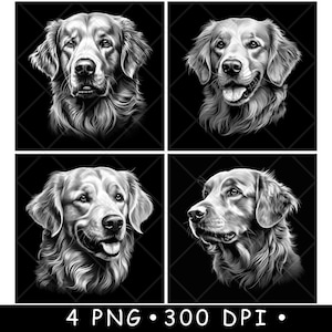 Cabeza de perro Golden Retriever, pelaje peludo, mascota canina, cachorro, archivo láser, posavasos, quemar, escala de grises, pizarra, imagen PNG, grabar, blanco y negro, grabado, CO2, CNC