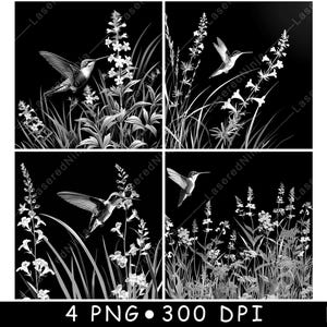 Flores de jardim de beija-flor, pequena natureza, vida selvagem, jardim, arquivo a laser, porta-copos, queimar, escala de cinza, ardósia, imagem PNG, gravar, preto, branco, gravar, CO2, CNC