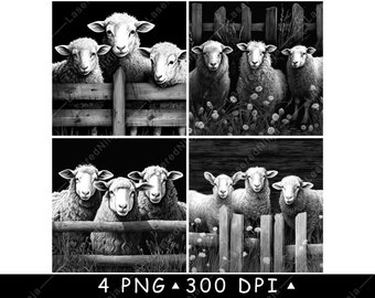 Può includere: Quattro immagini in bianco e nero di tre pecore in piedi dietro una recinzione di legno. Le pecore guardano la telecamera. Le immagini sono su uno sfondo nero.