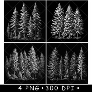Alberi di pino alti Foresta invernale Scena di natura selvaggia sempreverde File laser Sottobicchiere Brucia Scala di grigi Ardesia Immagine PNG Incisione Nero Bianco Incisione CO2 Cnc