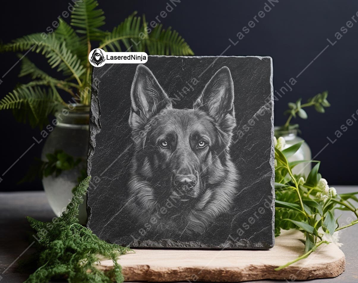 Gladys Emerson Koch, DEUTSCHER SCHÄFERHUND, Schwarz Weiß Zeichnung,  Buchdruck, Vintage Zeichnung, Tierdruck, Ungerahmt - Etsy Österreich, image size:1205x952
