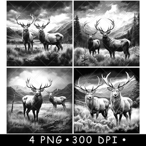 Alce Pascolo Montagna Paesaggio Coppia Natura Selvaggia Cervo Laser File Sottobicchiere Brucia Scala di grigi Ardesia PNG Immagine Incidere Nero Bianco Incisione CO2 Cnc