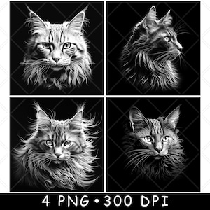 Lynx Maine coon lynx roux chat sauvage lynx roux félin fichier laser sous-bock graver en niveaux de gris ardoise image PNG graver noir blanc gravure CO2 Cnc