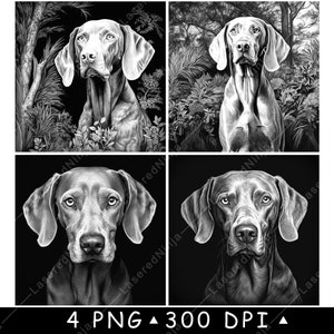 Perro Weimaraner Weim Gris Fantasma Plata Mascota Caza Canino Archivo Láser Posavasos Quemar Escala de Grises Pizarra Imagen PNG Grabar Negro Blanco Grabado CO2 Cnc