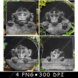 Baby Monkey Peeking Grayscale Bundle for Laser Engraving Primate Printable PNG Design Art