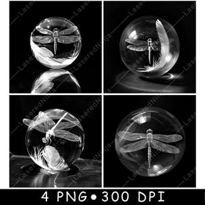 Libellula Globo di vetro Sfera Sfera di cristallo Natura Insetto Laser File Sottobicchiere Brucia Scala di grigi Ardesia Immagine PNG Incisione Nero Bianco Incisione CO2 Cnc