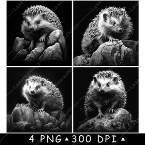 Egel stekelig stekelig zoogdier klein schattig huisdier wild laserbestand onderzetter branden grijstinten leisteen PNG-afbeelding graveren zwart wit etsen CO2 CNC