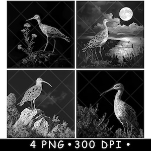Brachvogel Ibis Langer Schnabel Sumpfgebiete Australische Wildtiere Laser-Datei-Untersetzer Brennen Graustufen Schiefer PNG Bild Gravieren Schwarz Weiß Etch CO2 Cnc