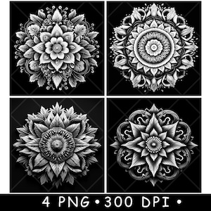 Mandala natuur geïnspireerd rond ingewikkeld bloemenpatroon laserbestand onderzetter branden grijstinten PNG-afbeelding graveren zwart witte leisteen etsen CO2 CNC