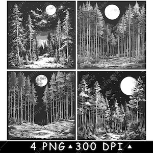 Alberi alti Luna Pineta Bosco Sempreverde Notte buia File laser Sottobicchiere Brucia Scala di grigi Ardesia Immagine PNG Incisione Nero Bianco Incisione CO2 CNC