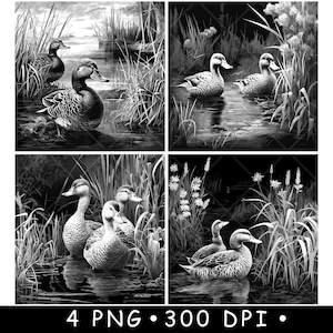 Canard marais marais couple faune ferme zone humide scène caboteur fichier laser ardoise gravure graver noir blanc Images PNG Glowforge LightBurn CO2 CNC