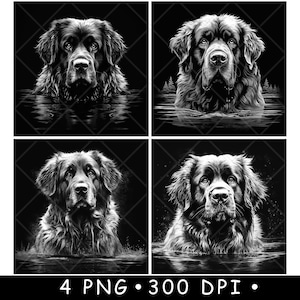 Leonberger Dog Water Scene Gentle Large Raza Canina Mascota Archivo láser Posavasos Grabar Escala de grises Pizarra Imagen PNG Grabar Blanco y negro Grabado CO2 Cnc