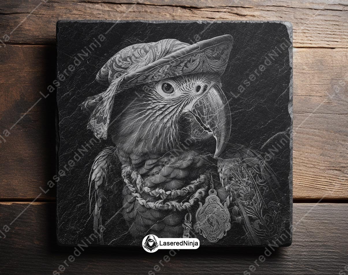 Pirate Parrot Designs in Black and White Digital Bird Character Art for ...
