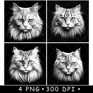 Bobtail de Birmanie Manx, chat norvégien Maine Coon Ragdoll fichier laser sous-verre graver en niveaux de gris ardoise Image PNG graver noir blanc gravure CO2 Cnc
