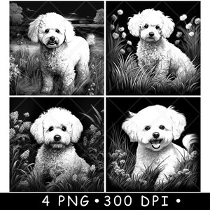 Bichon Frise Havanese Razza Fluffy Pet Cane dai capelli ricci File laser Sottobicchiere Brucia in scala di grigi Ardesia Immagine PNG Incidere Nero Bianco Incisione CO2 Cnc