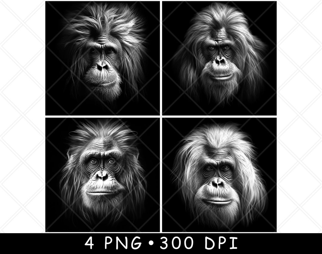 Orangutan Monkey Head Face Ape Primate Chimp Borneo Wild Laser File ...
