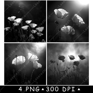 Fleurs de pavot Floral Bloom plante de jardin vivace Papaver fichier laser sous-verre graver en niveaux de gris ardoise image PNG graver noir blanc gravure CO2 Cnc