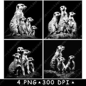 Erdmännchen Mungo Familie Erdmännchen Afrika Savanne Wildtiere Laser Datei Untersetzer Brennen Graustufen Schiefer PNG Bild Gravieren Schwarz Weiß Etch CO2 Cnc
