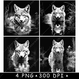 Könnte beinhalten: Eine digitale Schwarzweißillustration eines Wolfes, der im Wasser untergetaucht ist. Der Wolf schaut direkt auf den Betrachter. Das Wasser wellt sich um den Wolf.