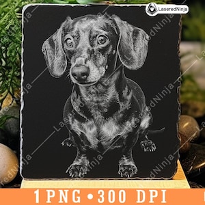 Dackel Weiner Wurst Kleiner Hund Doxie Haustierporträt Laserdatei Untersetzer Brennen Graustufen Schiefer PNG Bild gravieren schwarz weiß Etch CO2, eine Kunst