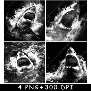 May include: Four black and white images of a great white shark with its mouth open, showing its teeth. The shark is swimming in the water, with waves and splashes around it.