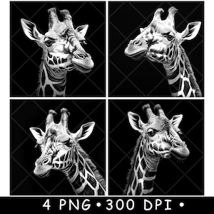 Girafkop lange nek exotisch dier wild savanne safari laserbestand onderzetter branden grijstinten leisteen PNG-afbeelding graveren zwart wit etsen CO2 CNC