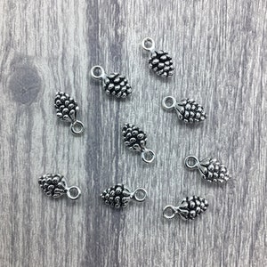 May include: A collection of eight small, silver-toned metal charms shaped like pinecones. Each charm features a textured, bumpy surface and a small circular loop at the top for attachment, arranged in a scattered pattern on a flat surface.