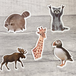 Adesivos de animais x 5, adesivos para laptop, animais fofos, adesivos para mala, adesivos para scrapbooking, adesivos para guitarra