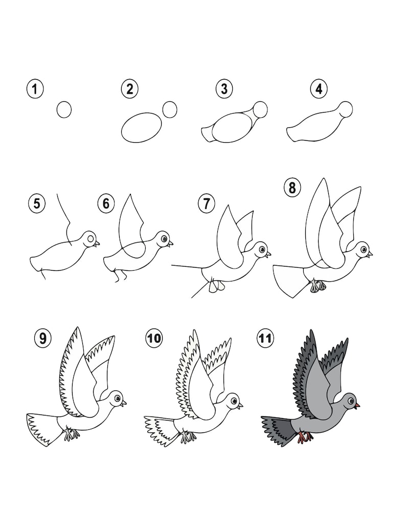 How to Draw Animals for Kids and Adults - Etsy