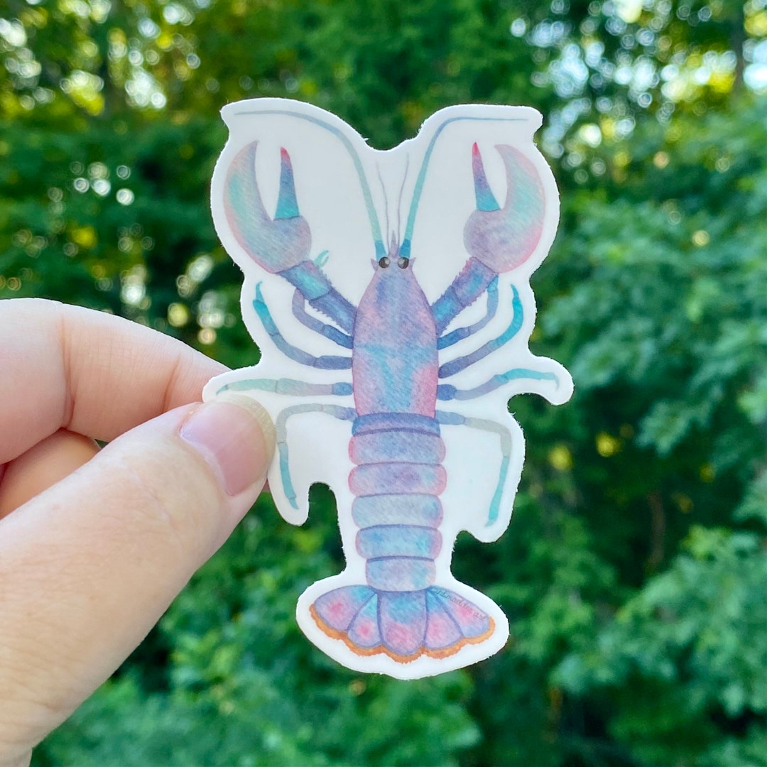 Die Cut Sticker Maine, Lobster Woodblock, Contour Vinyl Sticker 1 To 3 Inches (Waterproof Decal For Cars, Water Bottles, Laptops, Coolers), Small