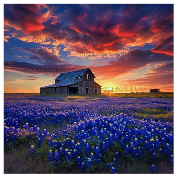 Texas Bluebonnets Png, Jpg, Old Barn Art Png, Sunset Png, Wall Decor