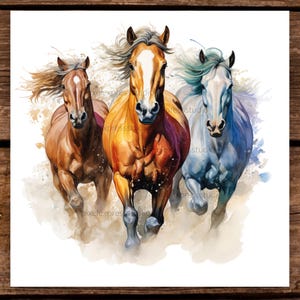 Runing Horses PNG - Download für T-Shirts, Tragetaschen, Wand-Dekor & mehr