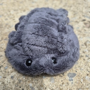 May include: A plush toy shaped like a tardigrade, featuring a soft, dark grey faux fur texture, a segmented body, multiple small legs along the sides, and two small, round, black plastic eyes positioned on the front of the rounded head.