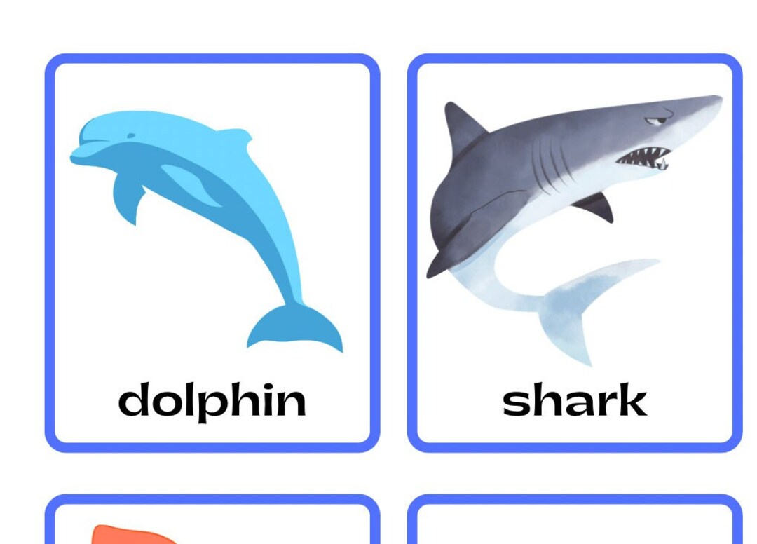 Printable Sea Animal Flash Cards for Kids Downloadable Etsy