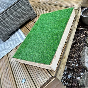 May include: A wooden platform with a green artificial grass surface. The platform is on a wooden deck.