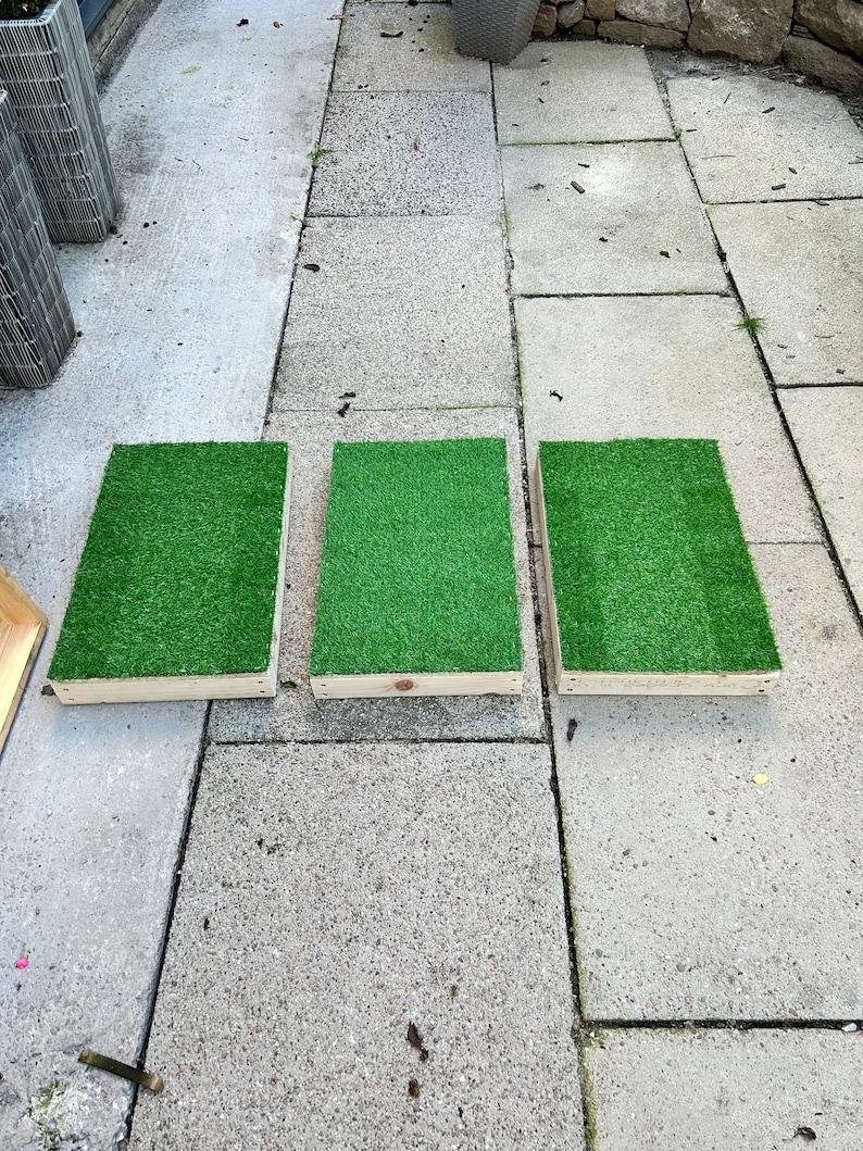 Dog Training Place Board Etsy UK