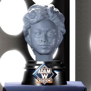 Tegan Jovanka  (Doctor Who) Head