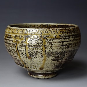 Antique Bizen Salt Glaze Tea Bowl made by 1st generation Fujiwara Rakuzan (1876-1930)