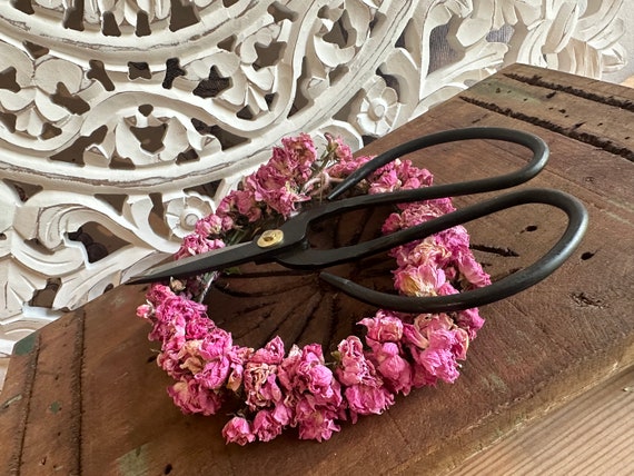 Scissors garden scissors plant scissors