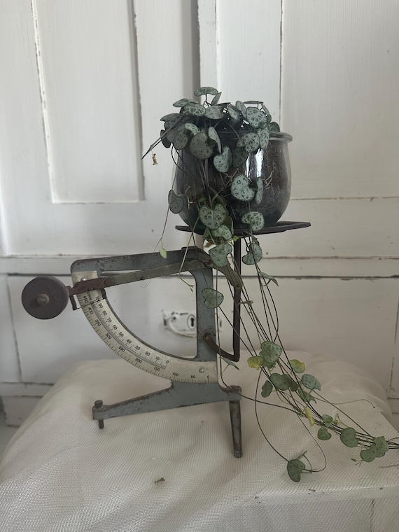 Old antique kitchen scales Original Vintage Shabby