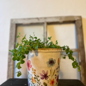 May include: A cream-colored ceramic flower pot with a floral design, featuring pink, purple, and orange flowers. The pot is filled with green leafy plants. The pot sits on a dark surface, with a rustic window frame in the background.