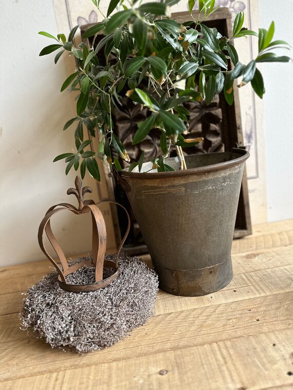 Bucket tin bucket plant bucket antique finish iron bucket garden plant pot