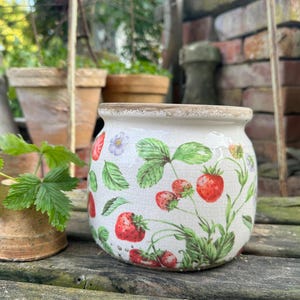 Pode incluir: Um vaso de cerâmica redondo com acabamento em esmalte branco craquelado, decorado com um padrão botânico de morangos vermelhos, folhas verdes e pequenas flores roxas. A borda tem uma textura castanha desgastada e envelhecida.