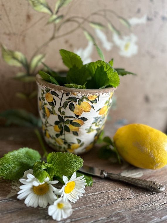 Jug Ceramic Pot Planter Plant Pot Decoration Vintage