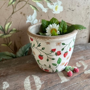 Kanna, keramisk kruka, planteringslåda, växtkruka, vintagedekoration