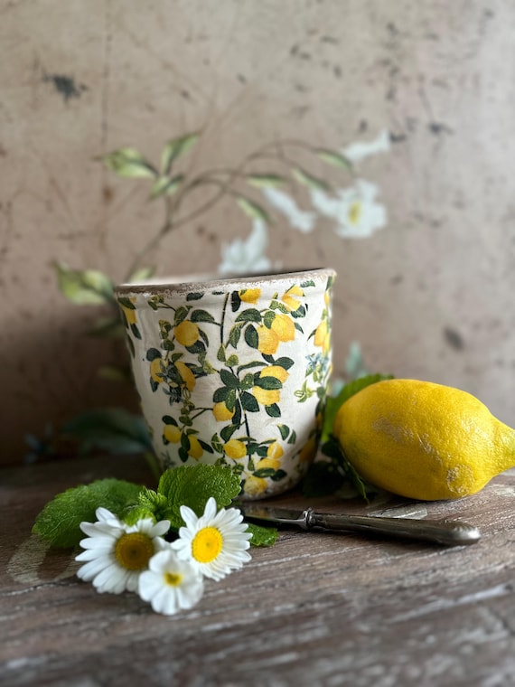 Jug Ceramic Pot Planter Plant Pot Decoration Vintage