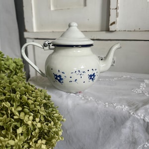 Può includere: Teiera in smalto bianco con un motivo floreale blu. La teiera ha un coperchio incernierato e un beccuccio.
