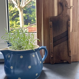 May include: A blue ceramic pitcher with white polka dots, filled with green rosemary plants. A wooden cutting board and a vintage wooden slicer are in the background, near a window with a view of a tree.